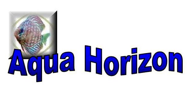 Aqua-Horizon